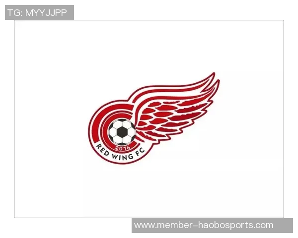 足球队标志大全解析各大球队标志背后的故事与设计理念分享